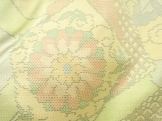 JAPANESE KIMONO / ANTIQUE KIMONO / SILK / OSHIMA TSUMUGI / WOVEN KIKU & PAULOWNIA